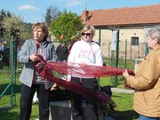 Jak k nám přilétla Čarodějnice